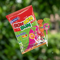 BON BON BOM CHUPETE SURTIDO 14 4 OZ